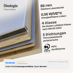 Pro-Passive, luftdichte Kl. 4 mit 2 Handläufen Bodentreppen - HEYKE AntiGravity Pro