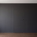 Wandbündige Tür • Budgetfreundlich • schwarze Alu-Zarge • 2 Bänder