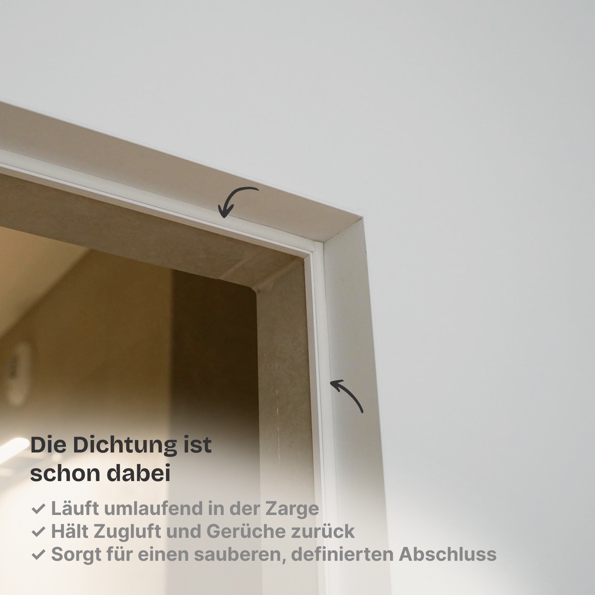 Wandbündige Tür • Budgetfreundlich • weiße Alu-Zarge • 2 Bänder