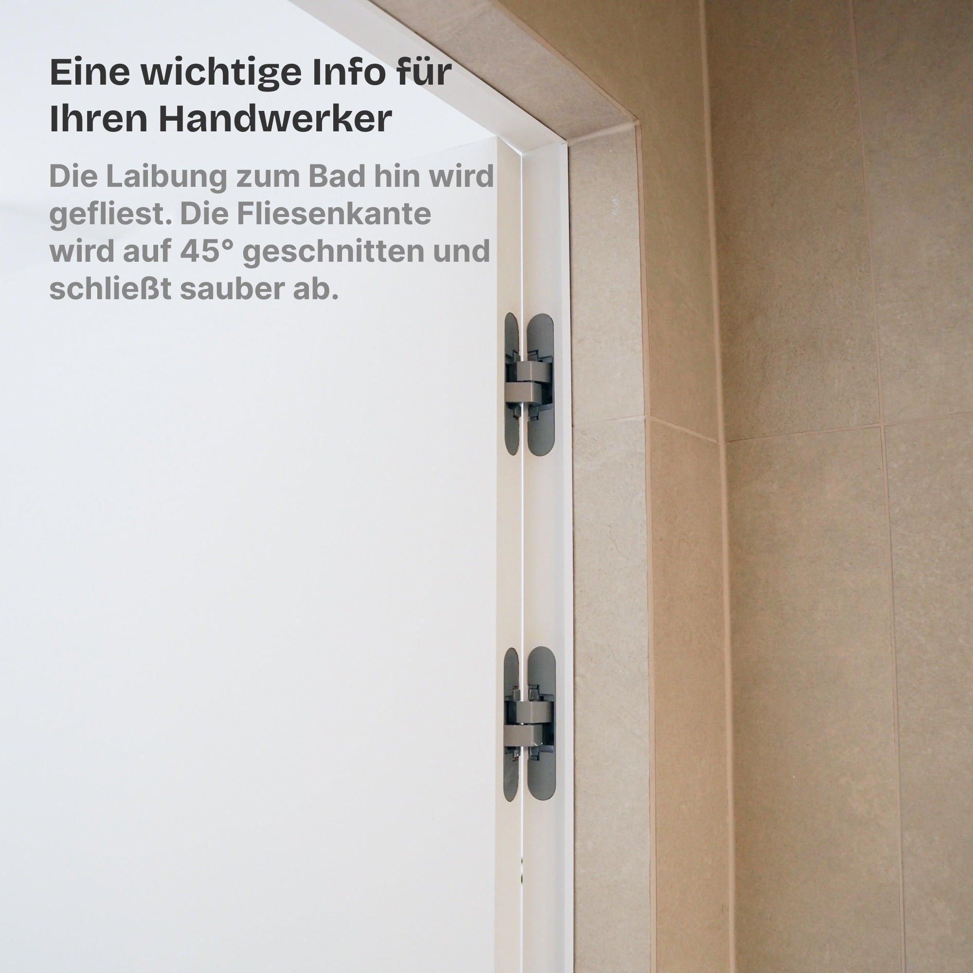 Wandbündige Tür • Budgetfreundlich • weiße Alu-Zarge • 2 Bänder