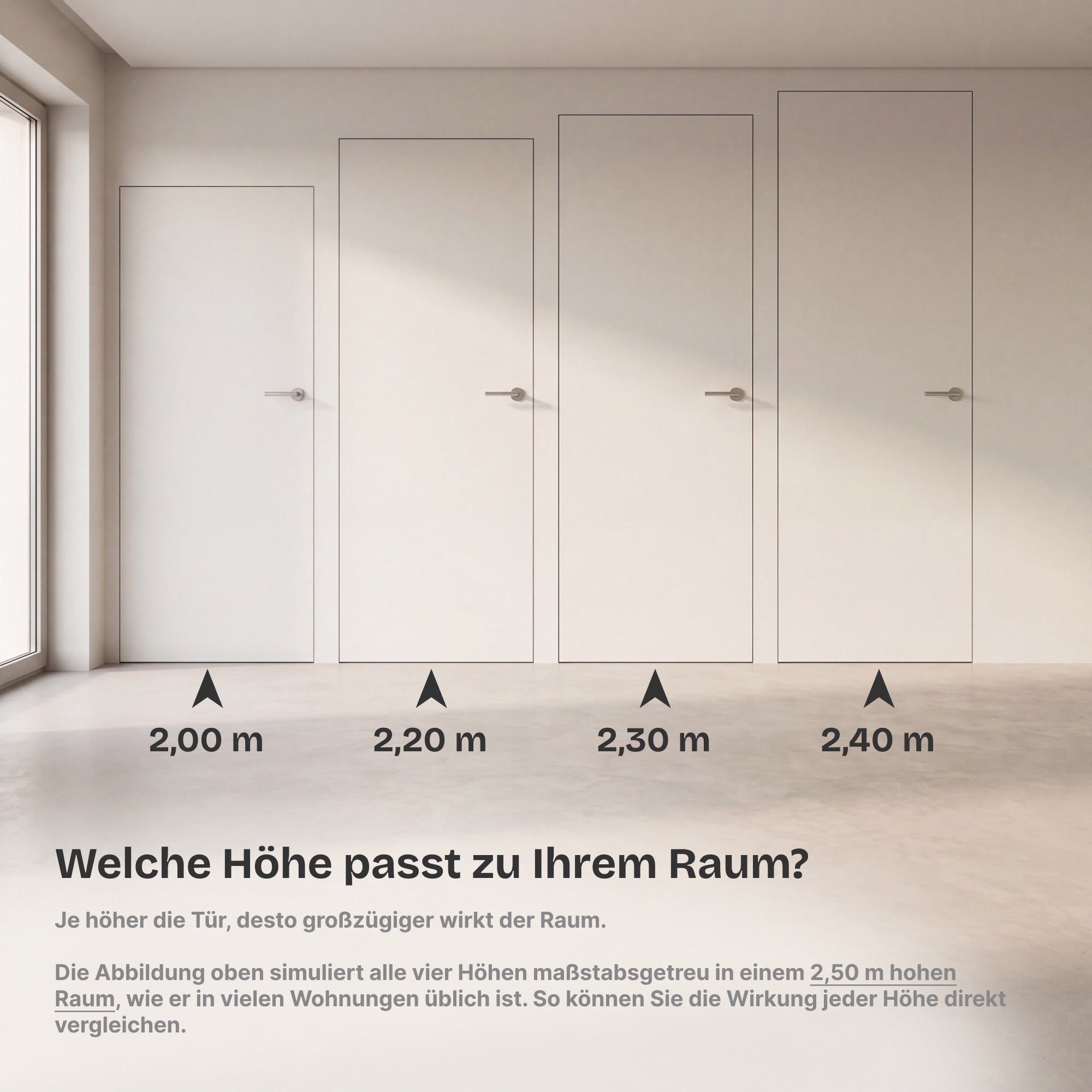 Wandbündige Tür • Budgetfreundlich • weiße Alu-Zarge • 2 Bänder