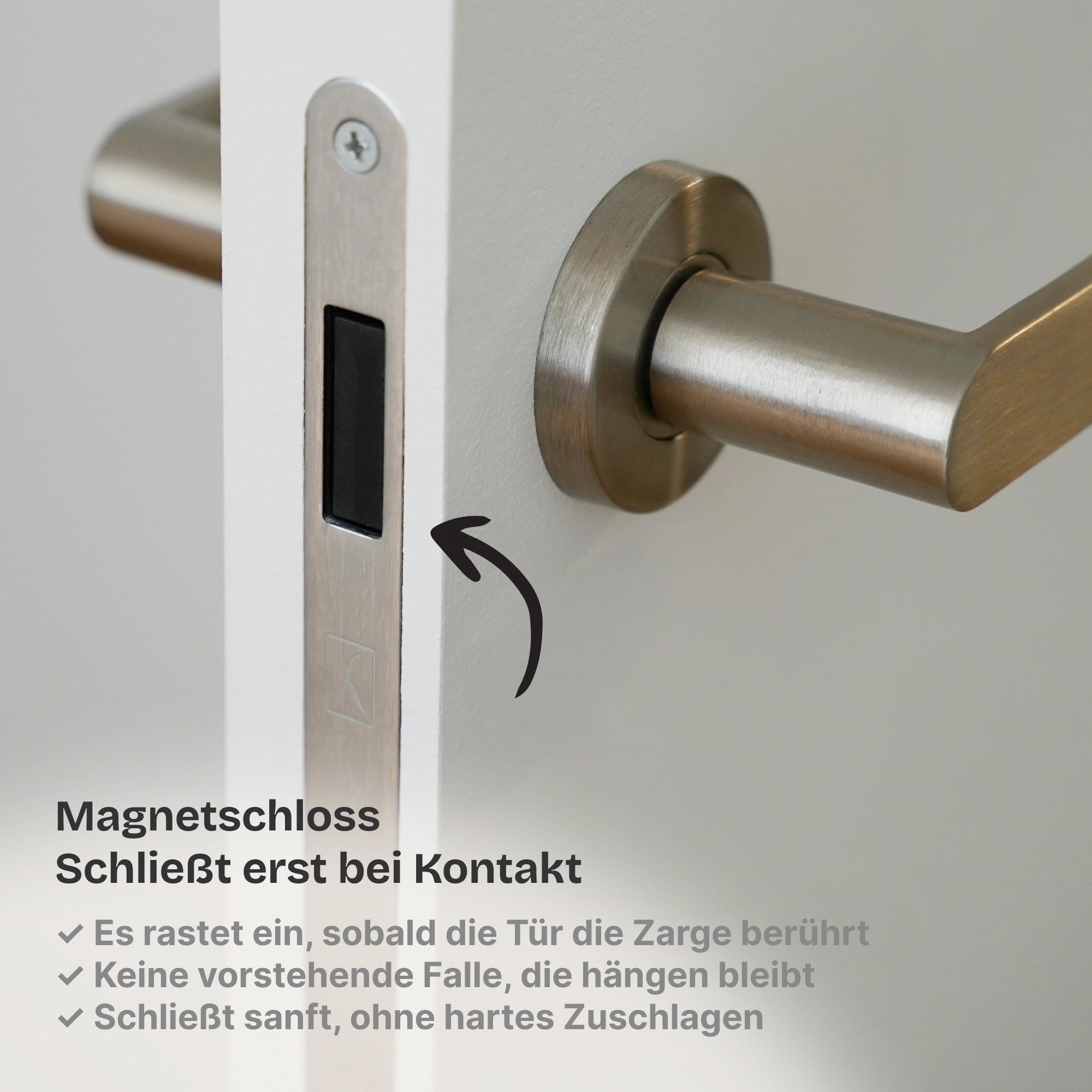 Wandbündige Tür • Budgetfreundlich • weiße Alu-Zarge • 2 Bänder