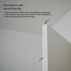Wandbündige Tür • Budgetfreundlich • weiße Alu-Zarge • 2 Bänder