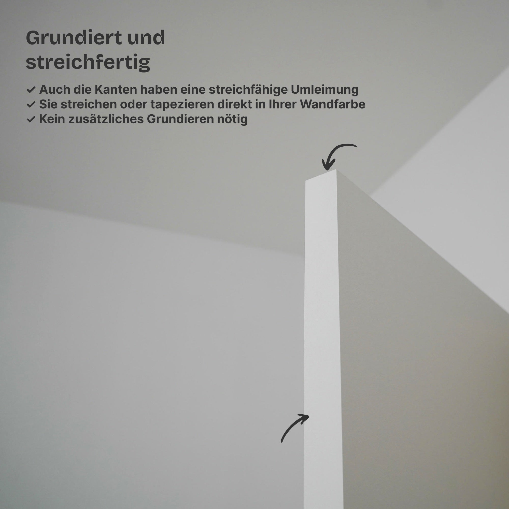 Wandbündige Tür • Budgetfreundlich • weiße Alu-Zarge • 2 Bänder