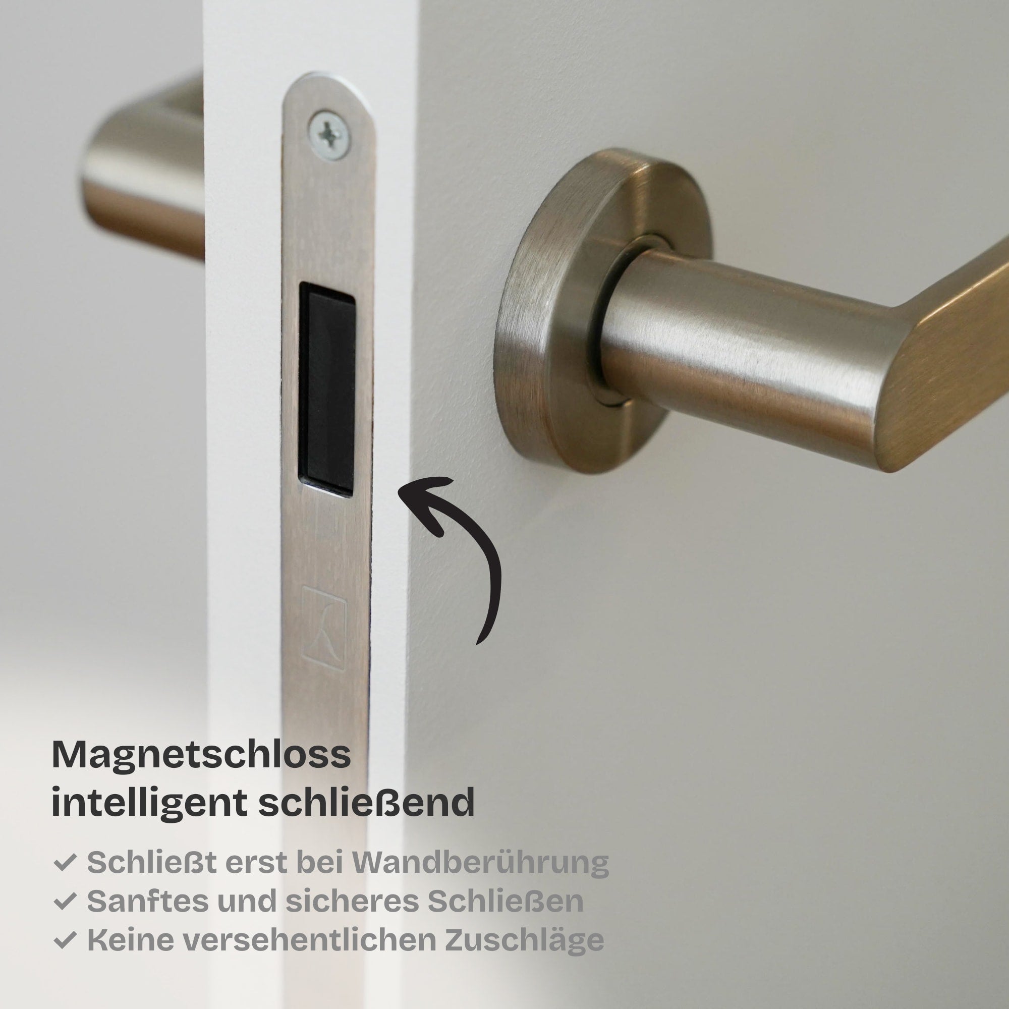 Versteckte Zimmertür • Vollplatte mit Schalldämmung • schwarze Alu-Zarge • 3 Bänder
